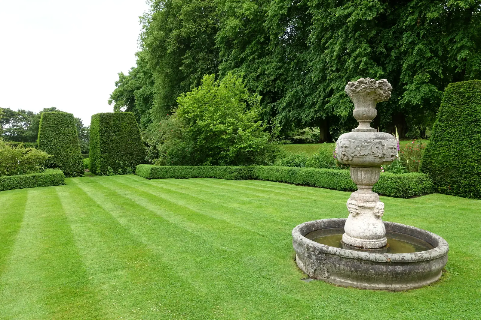 A striped lawn and a stone fountain in front of tall shade trees