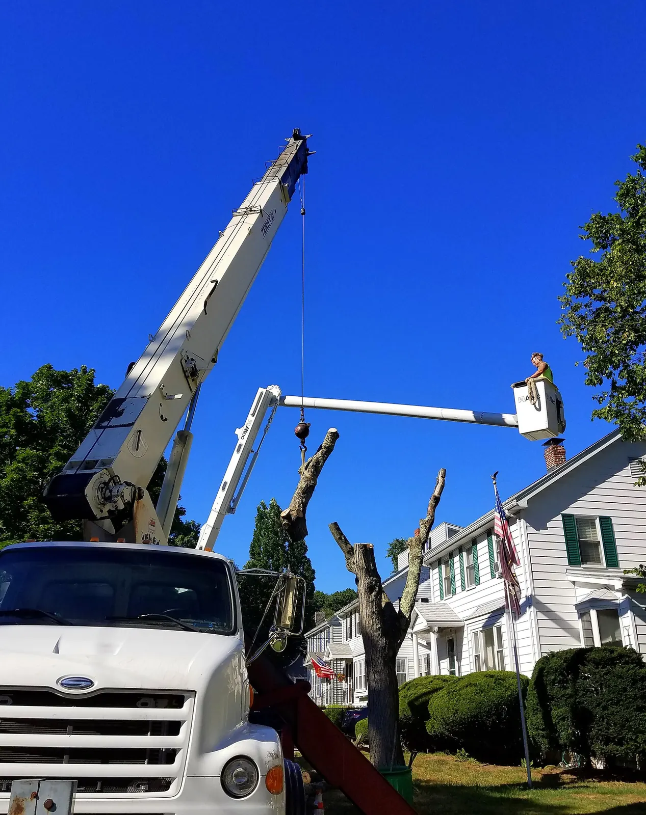 A crane and a bucket truck taking down a tree beside a house
